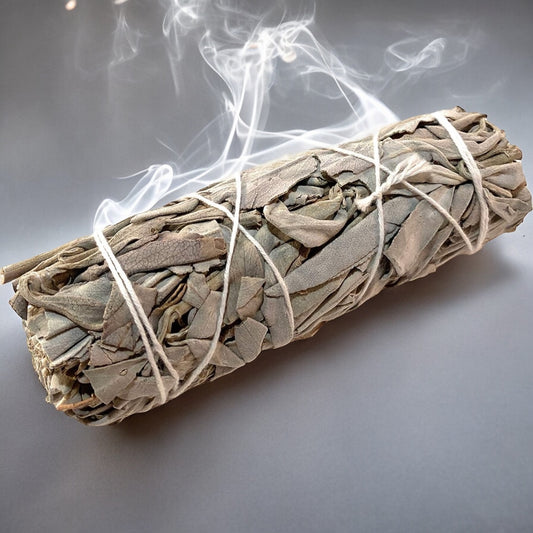 White Sage Smudge Stick (10cm)